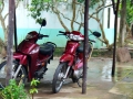 2mopeds