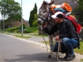 Eselwanderung Zuspruch