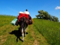 Eselwanderung Uckermark