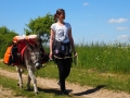 Eselwanderung