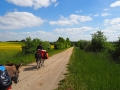Eselwanderung