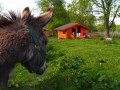 Eselwanderung Huette