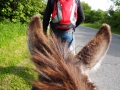 Eselwanderung