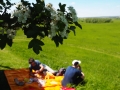 Eselwanderung Picknick