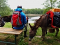 Eselwanderung mit Seeblick