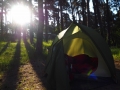 Morgensonne am Zelt