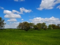 Uckermark Wiese
