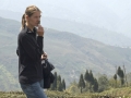 Darjeeling-Feldstudie