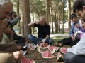 Iran_Melonenpicknick