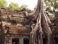 Ta Prohm