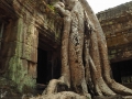 Ta Prohm