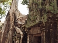 Ta Prohm