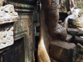 Ta Prohm