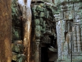 Ta Prohm