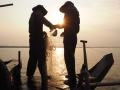 Tonle Sap Fischer