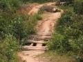 Ho-Chi-Minh-Trail