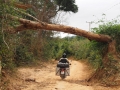 Ho-Chi-Minh-Trail