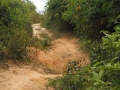 Ho-Chi-Minh-Trail