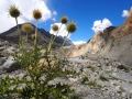 Hunza-Passu