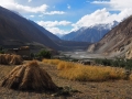 Shimshal Getreidefeld