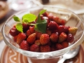 Walderdbeeren