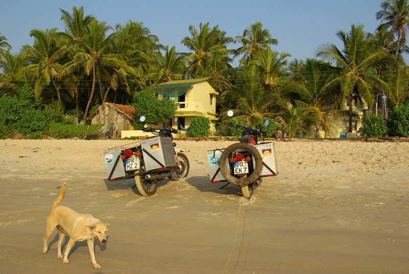 Die Emmen am Strand in Tarkali, Westindien 2009 (c) emmenreiter.de